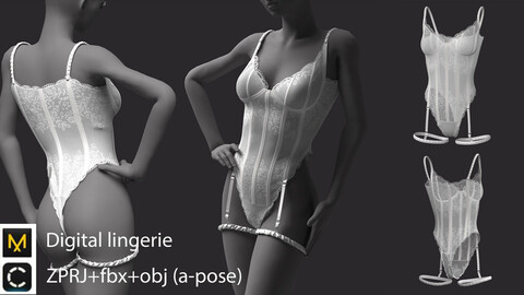 Digital lingerie / clo3d / marvelous designer