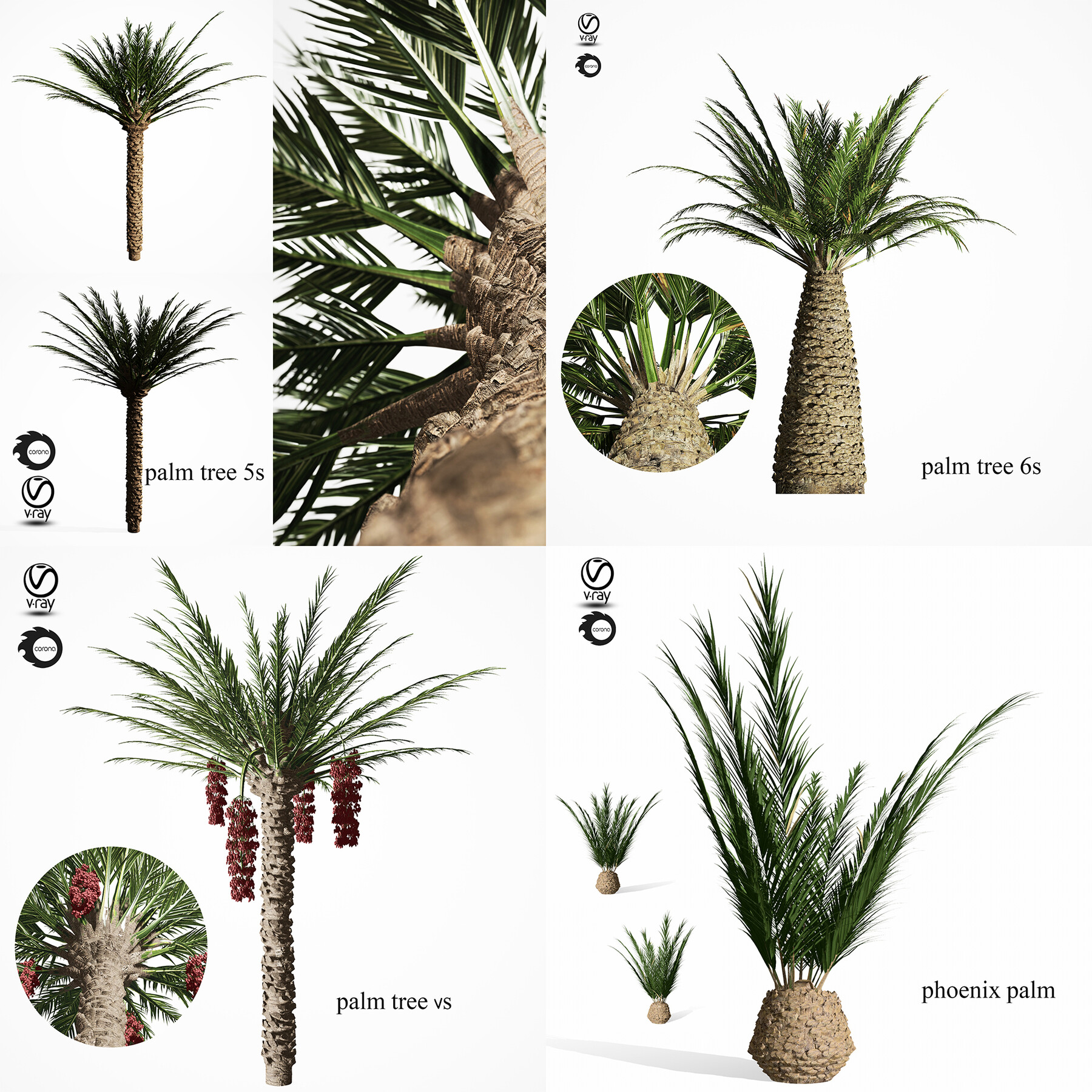 ArtStation - 3D Assets: Collection of Palm Trees | Resources