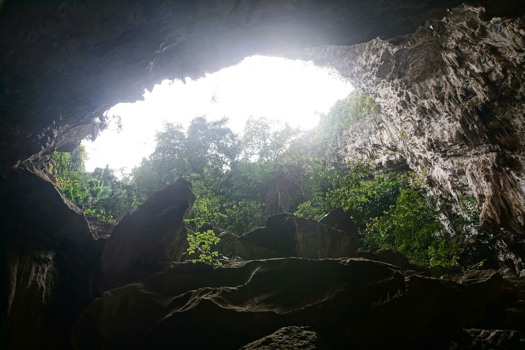 ArtStation - 207 photos of Tropical Cave | Resources