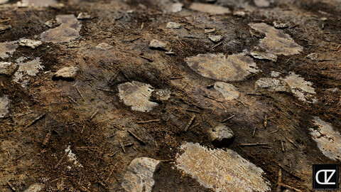 PBR - SOIL AFTER A FLOOD - 4K MATERIAL