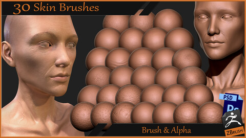 30 Skin Brushes