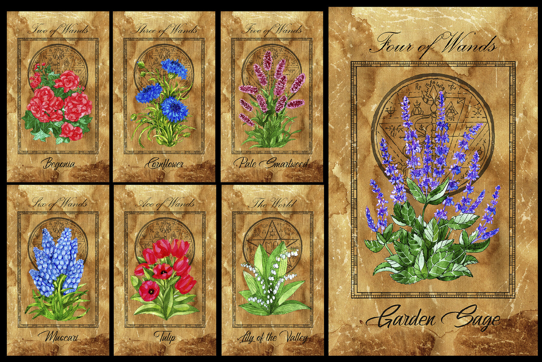 ArtStation Enchanted Flowers Tarot deck Artworks