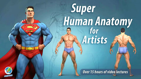 Super Human Anatomy for artists course