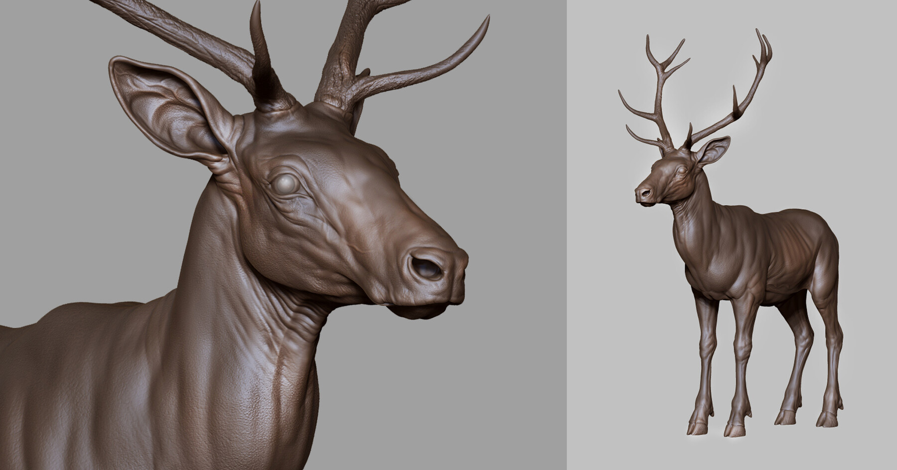 ArtStation - DEER - sculpt/retopology/uvs | Resources