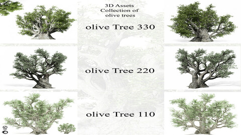 3D Assets: Collection of olive Trees