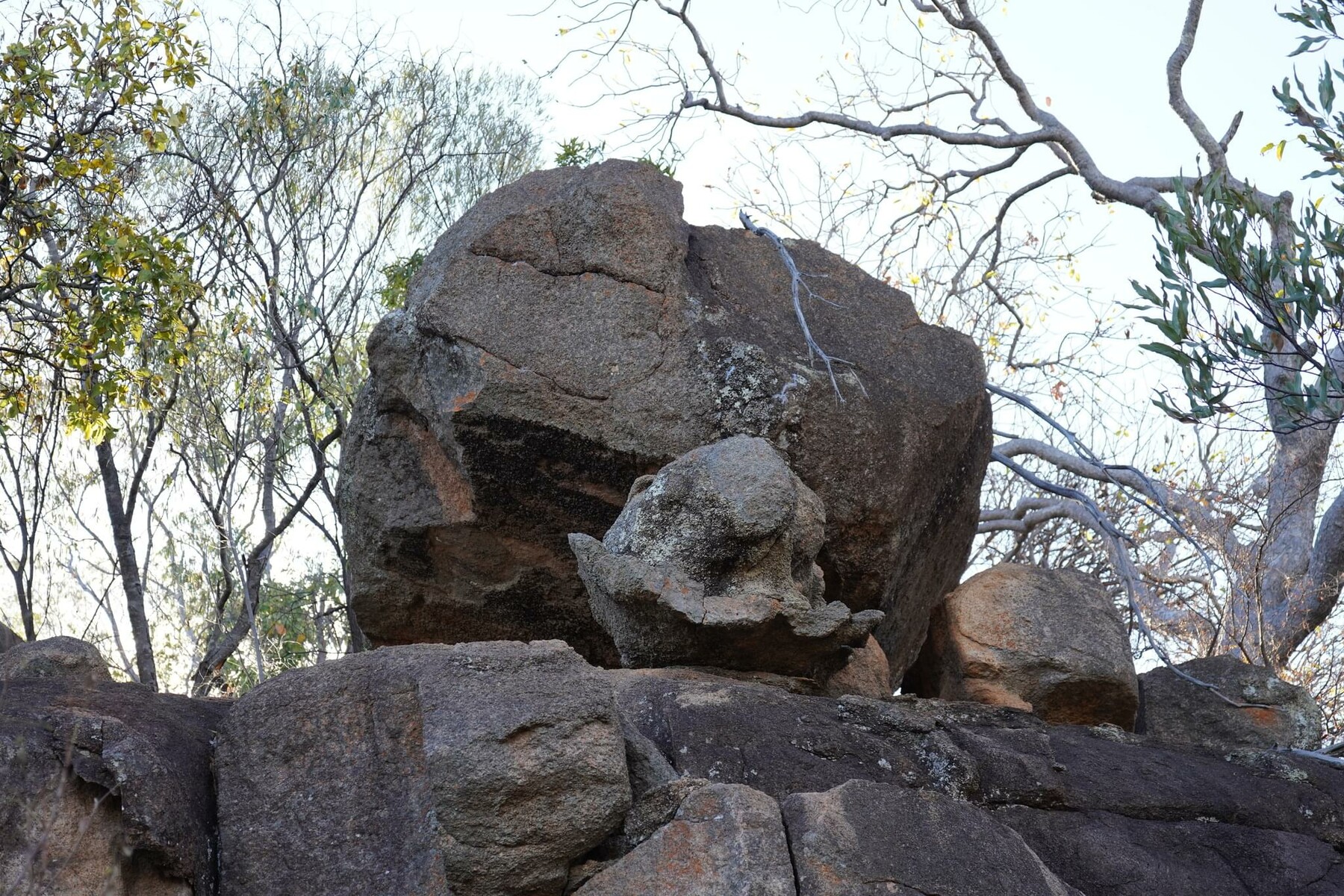 ArtStation - 326 photos of Pink Granite Rocks in Bush Savannah | Resources