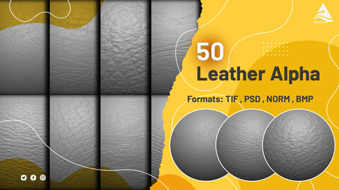 50 Leather Alpha