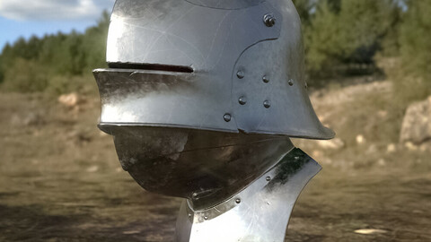 Sallet Helmet