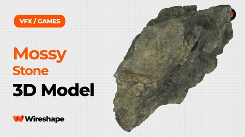 Mossy Stone Raw Scanned 3D Model