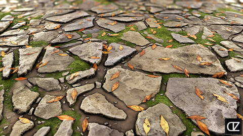 PBR - STYLIZED AUTUMN ROCK GROUND - 4K MATERIAL