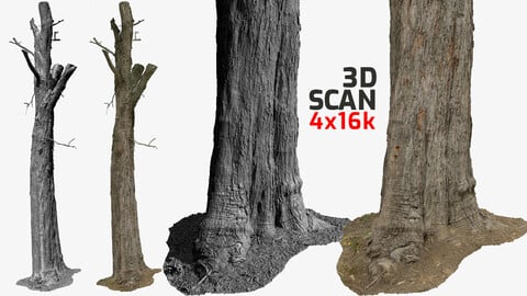 Tree 3D Scan 10x4k \ 4x16k Textures ULTRA HQ mesh OBJ FBX Blender Maya 3Ds-Max