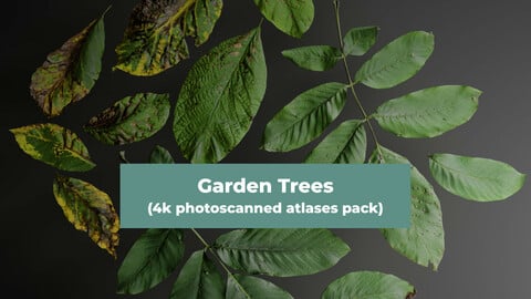 Garden Trees (4k photoscanned atlases pack)