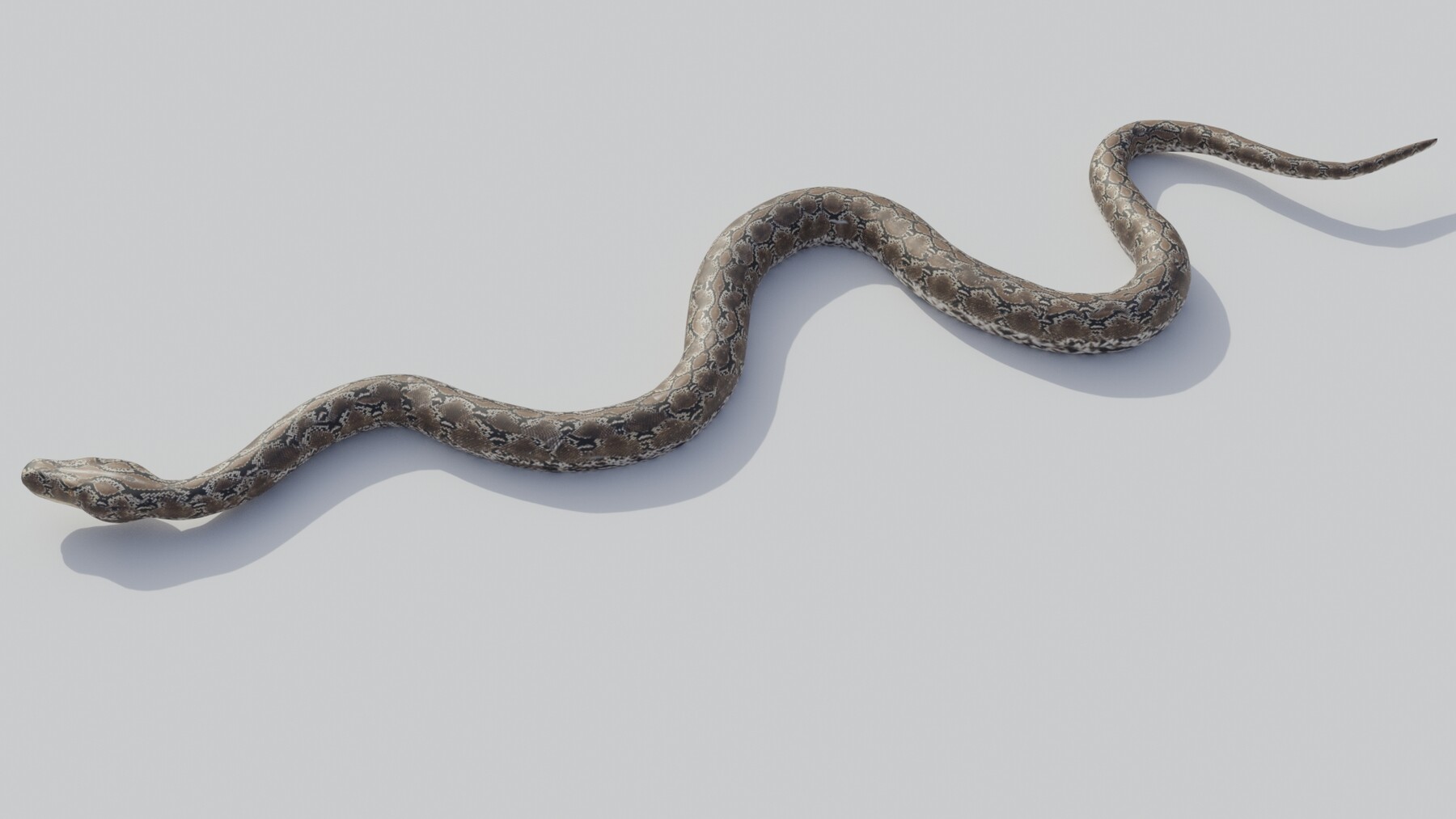 ArtStation - Rigged python 3D model | Resources