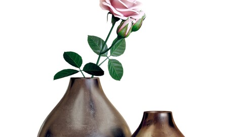 3D Model / Crate and Barrel / Bringham Vases with a Rose