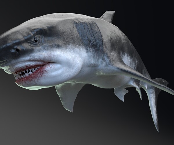 ArtStation - MEGALODON - Sea Monster Series 5 | Game Assets