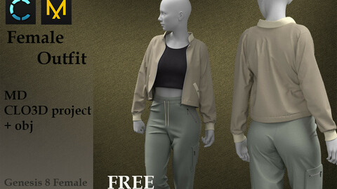 Female Outfit Free 3D model