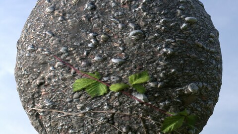 Cracked Asphalt 3 PBR Material