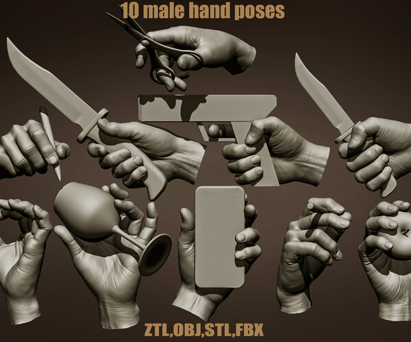 People Hand Set Woman Hands Set Stock Vector (Royalty Free) 431942734 |  Shutterstock