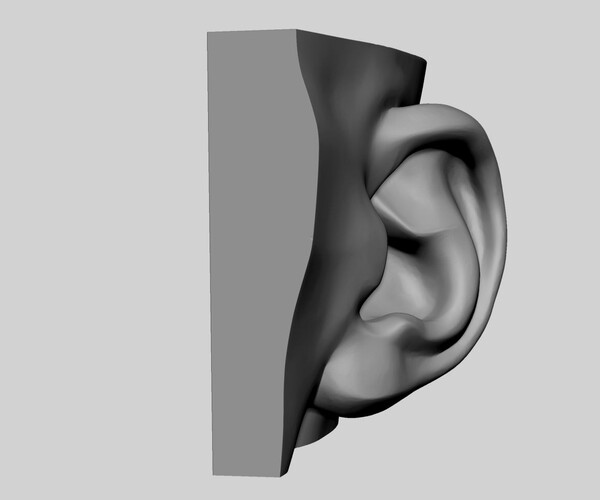 ArtStation - Ear Printable 02 | Resources