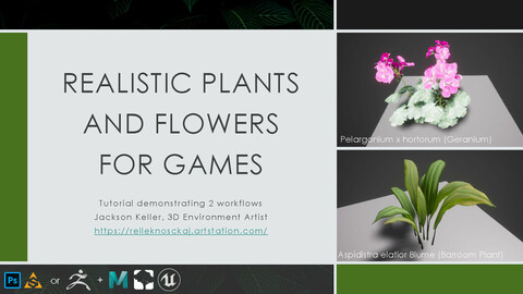 Realistic Plants and Flowers for Games