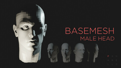 Male head basemesh