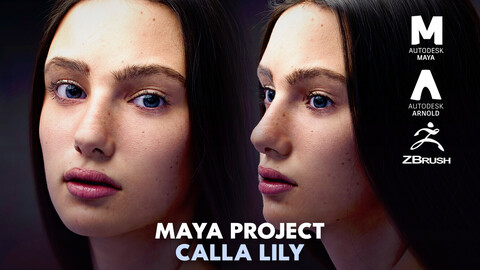 Calla Lily Maya Project