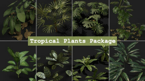 Tropical Plants Package Vol. 2