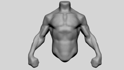 Male Torso 05