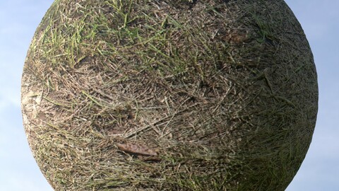 Dry Grass 11 PBR Material