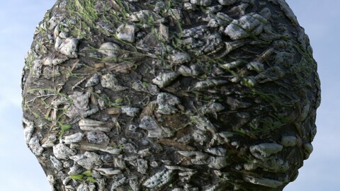 Fallen Tree Bark 1 PBR Material