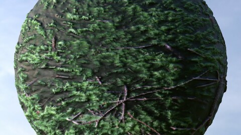 Forest Ground 29 PBR Material