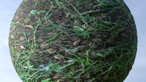 Forest Ground 34 PBR Material