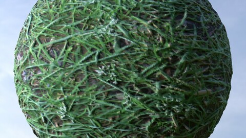 Grass 17 PBR Material