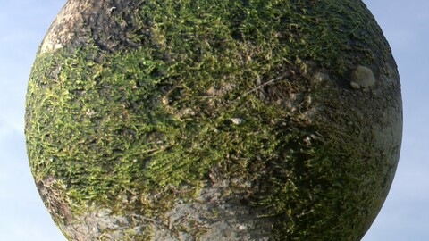 Grass And Asphalt 1 PBR Material