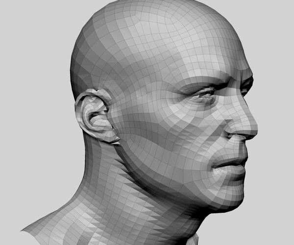 ArtStation - Base Male and Female Head | Resources