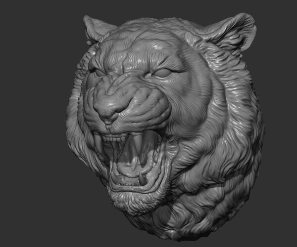 ArtStation - Tiger grin roar | Resources