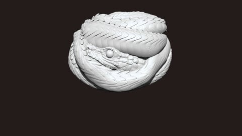 Snake Coil Ring