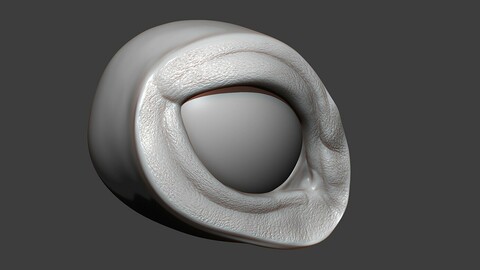 Cat Eye Socket Highpoly Sculpt