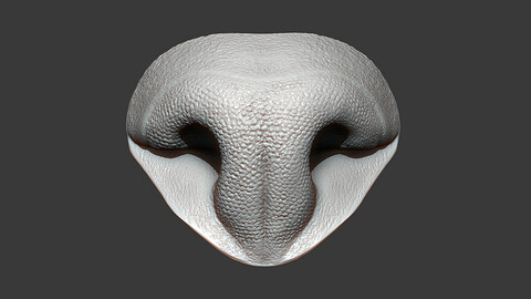Cat Nose Highpoly Sculpt