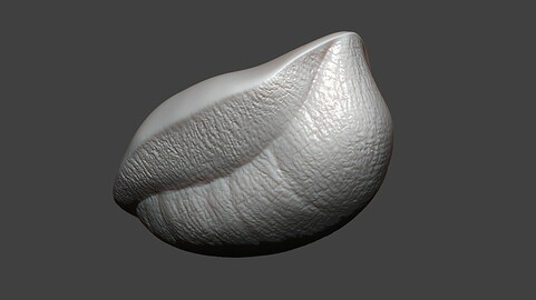 Cat Pad Highpoly Sculpt