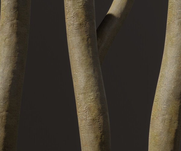 ArtStation Young Ash Tree Bark Game Assets