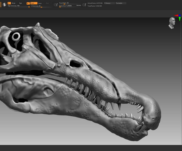 ArtStation - Spinosaurus 2020 version Skull Set Skeletons Sculpt ...