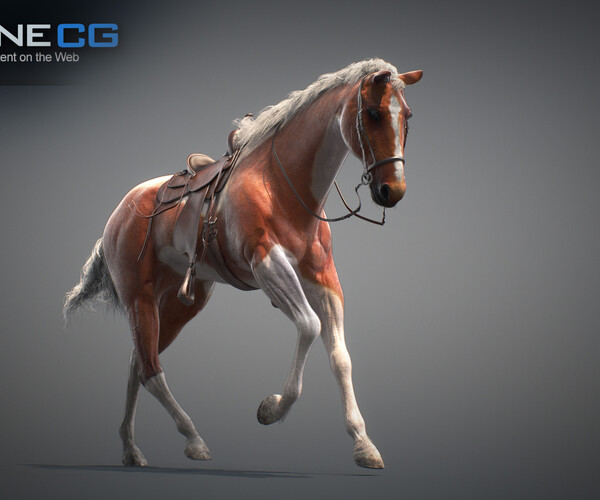 product thumbnail 10