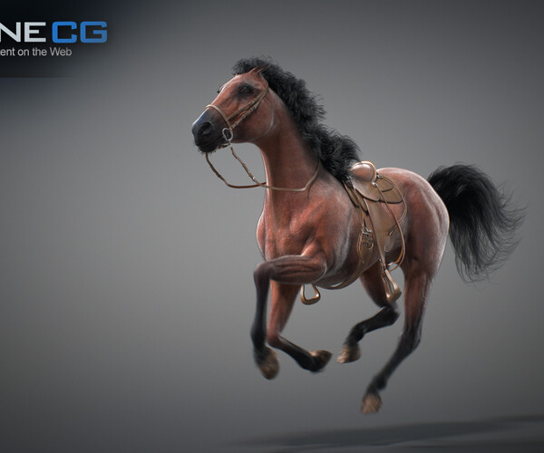product thumbnail 22