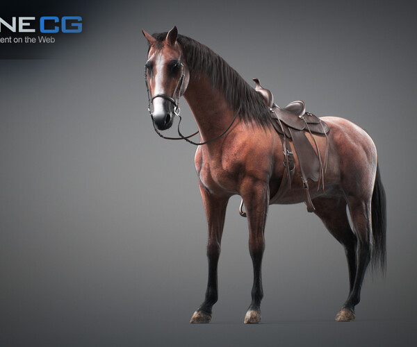 product thumbnail 37