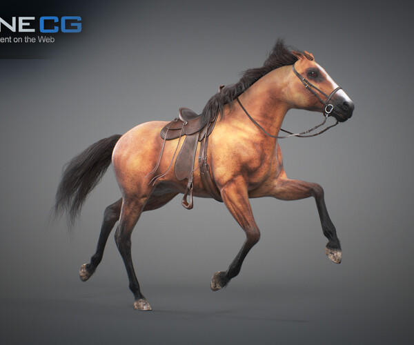 product thumbnail 51