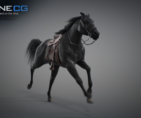 product thumbnail 55