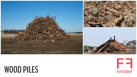 34 photos of Wood Piles