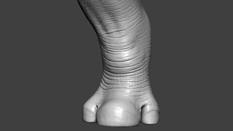 Rhino Front Leg Highpoly Sculpt