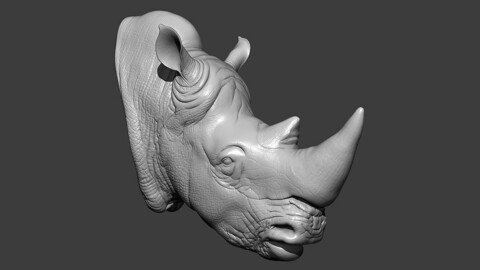 Rhino Head Highpoly Sculpt